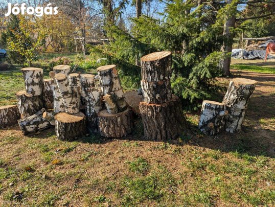 Nyírfa rönk eladó