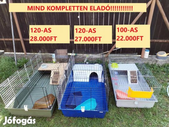 Nyúl Ketrec Nyuszi Tengerimalac Hörcsög