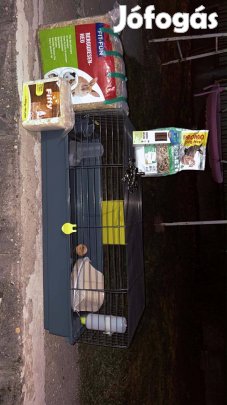 Nyúl ketrec és hozzávalók