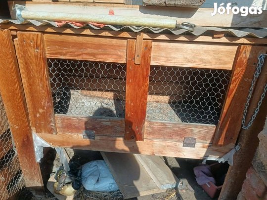 Nyúl ketrec vagy ki minek szeretné