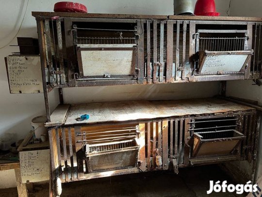 Nyúl ketrecek eladó