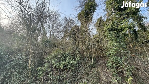 Nyúli hegyben 5039 m2-es zártkerti ingatlan eladó!