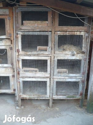 Nyúlketrec nyúlól