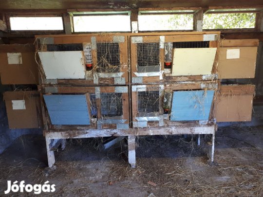 Nyúlketrec nyúlól