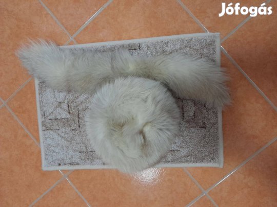 Nyúlszőr sapka "L"-es nyakprémmel