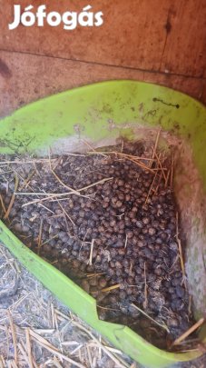 Nyúltrágya eladó