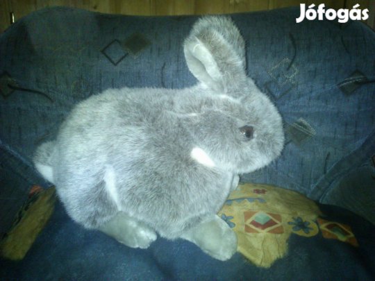 Nyuszi plüssök újonnan eladók!