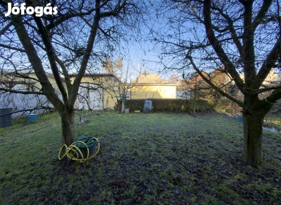OTTHONOS HANGULAT ÉS RENDEZETT KERT  ELADÓ CSALÁDI HÁZ DOROG CSENDES