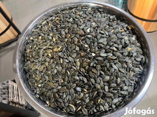 Olajtökmag tisztitott