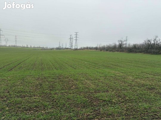 Olcsóbb Lett! Sashegyen Könnyen Megközelíthető Helyen Szántó Eladó