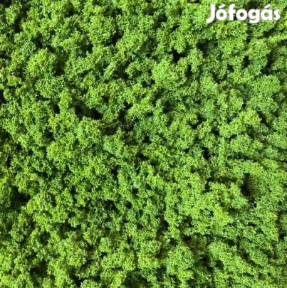 Olivazöld MŰfŰ  30g 3-5mm (5271)