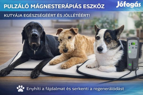 Omi Minimat bemer pemf pulzáló mágnesterápia kutya macska