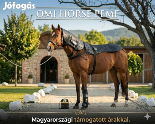 Omi horse bemer pulzáló mágnesterápia lovaknak ló lovas