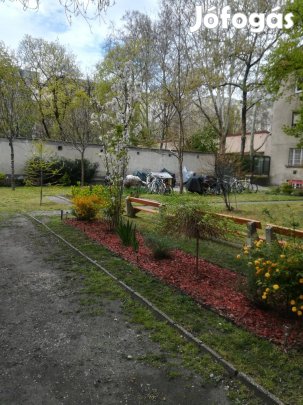 Önkormányzati lakáscsere XIII. kerület