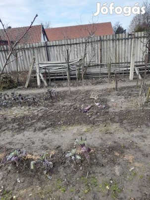 Öntözőcső és fóliatartó pálcák