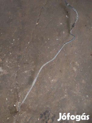 Opel Frontera B Szervócső