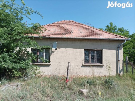 Ópusztaszer Kis-Zer tanya 260. eladó