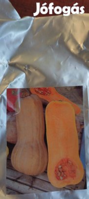 Orange kanadai sütőtök mag