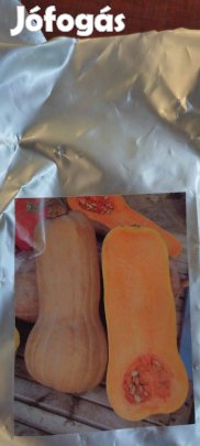 Orange kanadai sütőtök mag