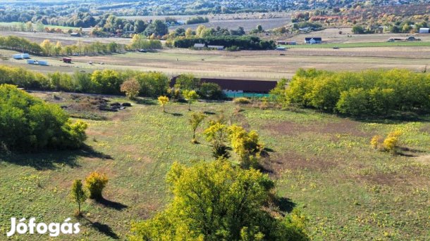 Őrbottyán, nincs utca, 11091 m2-es, telek