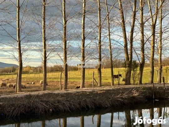 Őrbottyáni 25520 nm-es telek eladó