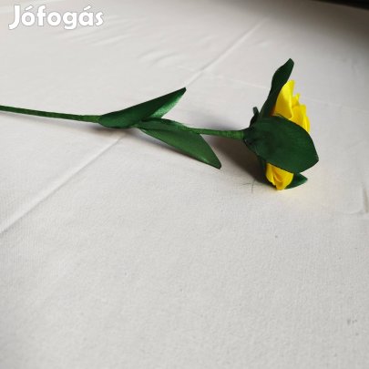 Örök rózsa, citromsárga 