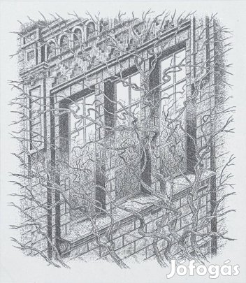 Orosz István - Műterem ablakok