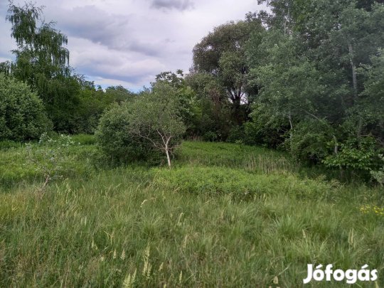 Oroszlány Telek Eladó