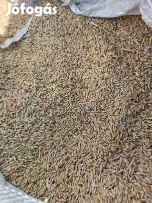 Őszi árpa eladó