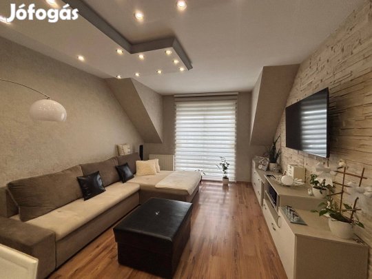 Otthon, AMI Azonnal Rabul Ejti Nyíregyháza, Hímes