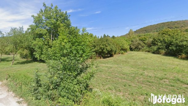 Otthon a természet ölelésében