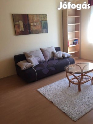 Otthonos lakás kiadó az Interspar közelében (Füredi út)