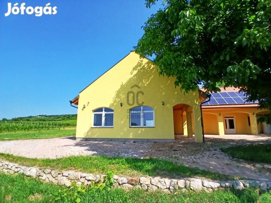 PANORÁMÁS BIRTOK ÉS PANZIÓ SIKLÓSON