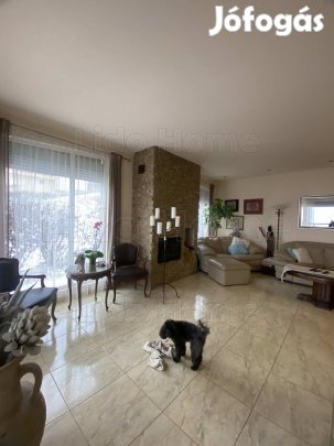 PRÉMIUM KÖRPANORÁMÁS Családi ház TÖRÖKBÁLINT EXKLUZÍV RÉSZÉN  A TÉR,