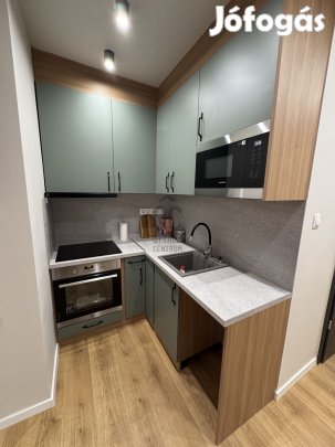 PRÉMIUM MINŐSÉGBEN FELÚJÍTOTT, AZONNAL KÖLTÖZHETŐ FÖLDSZINTI LAKÁS ELA