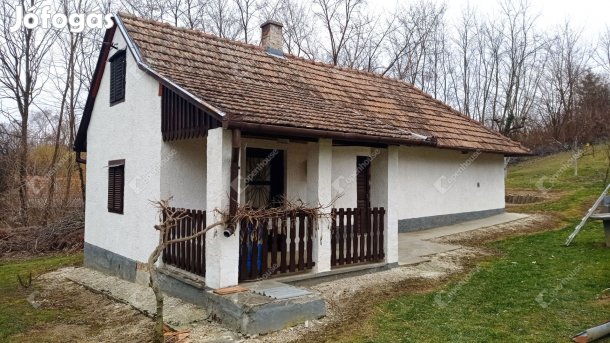 Pacsai 1694 nm-es telek eladó