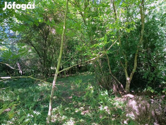 Padári eladó telek
