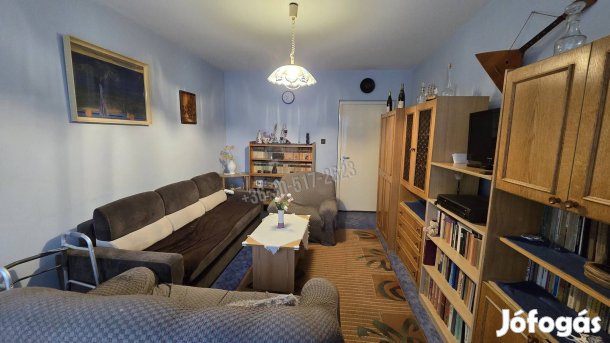 Pakson, Gesztenyés utcában, földszinti lakás ELADÓ! 1047_gz