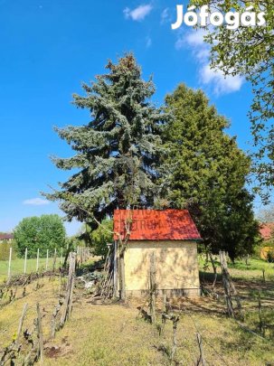 Pakson belterületi építési telek eladó.