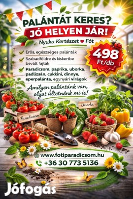 Palánta és virág vásár (40 féle) közvetlen termelőtől olcsón Fóton!