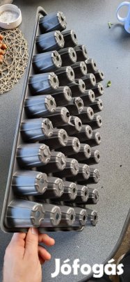 Palánta nevelő tálca.