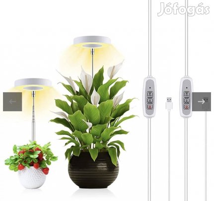 Palántanevelő lámpa