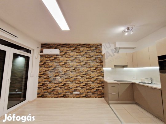 Pálinkás Antal utcában Bútorozatlan és Gépesített 28 nm 1 szobás lakás