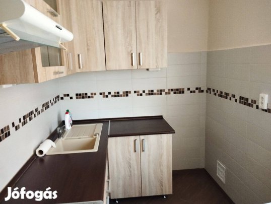 Palotavárosban, Kodolányi János utcában 2 szobás lakás