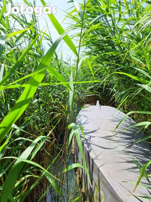 Paloznakon vízparti nyaraló eladó!