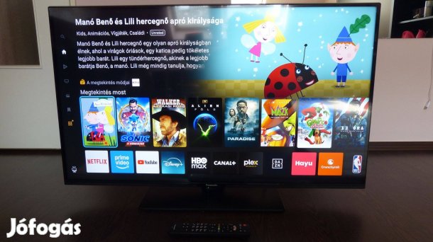 Panasonic TX-43MX600E (2023 4K)