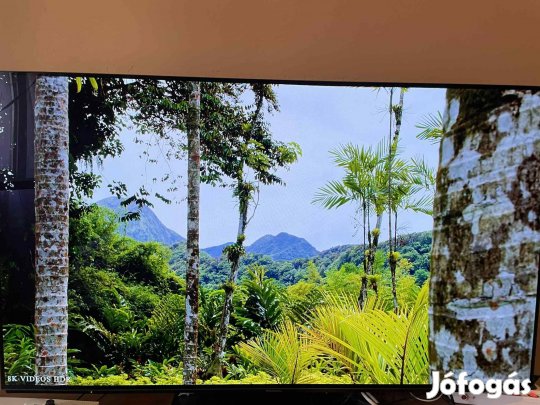 Panasonic TX-55Gzc1004 OLED Tv