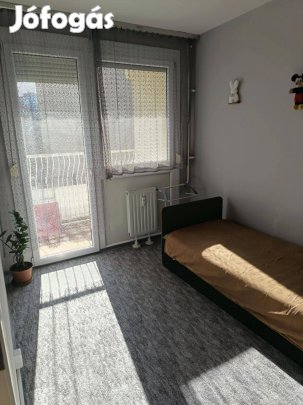 Panellakás, Szeged Felsővárosban eladó