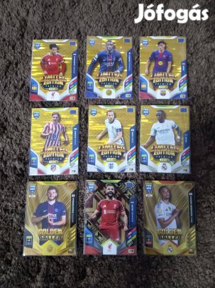 Panini FIFA 365 kártyák