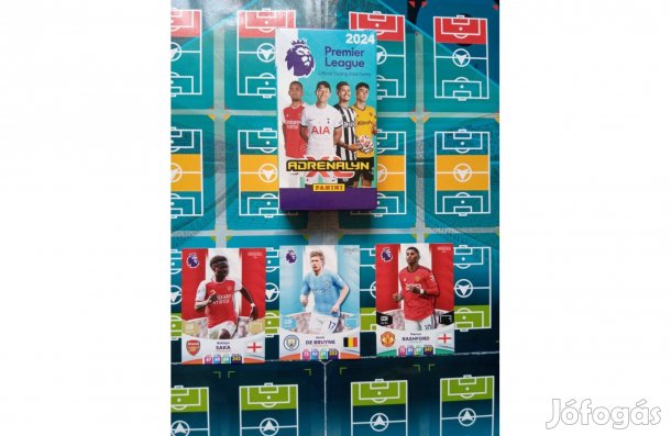Panini Premier League 2024 Adrenalyn Team Mate kártya